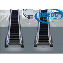 Passenger Residential Conveyor Escalator Moving Sidewalk